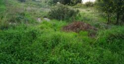 Προνομιακό γωνιακό οικόπεδο 443τ.μ. στον Κουμπελή