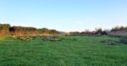 Πωλείται αγροτεμάχιο 6147,83 τ.μ. στις Στέρνες Ακρωτηρίου.