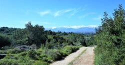 Πωλείται γωνιακό οικόπεδο άρτιο και οικοδομήσιμο 2300 τ.μ.  στην Αλμυρίδα Αποκορώνου. Πωλείται γωνιακό οικόπεδο άρτιο και οικοδομήσιμο 2300 τ.μ.  στην Αλμυρίδα Αποκορώνου.