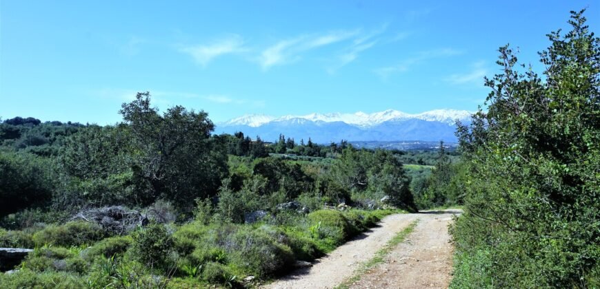 Πωλείται γωνιακό οικόπεδο άρτιο και οικοδομήσιμο 2300 τ.μ.  στην Αλμυρίδα Αποκορώνου. Πωλείται γωνιακό οικόπεδο άρτιο και οικοδομήσιμο 2300 τ.μ.  στην Αλμυρίδα Αποκορώνου.