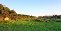 Πωλείται αγροτεμάχιο 6147,83 τ.μ. στις Στέρνες Ακρωτηρίου.