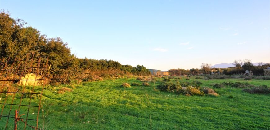 Πωλείται αγροτεμάχιο 6147,83 τ.μ. στις Στέρνες Ακρωτηρίου.