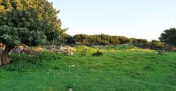 Πωλείται αγροτεμάχιο 6147,83 τ.μ. στις Στέρνες Ακρωτηρίου.