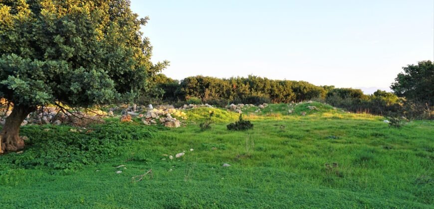 Πωλείται αγροτεμάχιο 6147,83 τ.μ. στις Στέρνες Ακρωτηρίου.