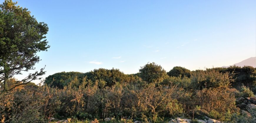 Πωλείται αγροτεμάχιο 6147,83 τ.μ. στις Στέρνες Ακρωτηρίου.