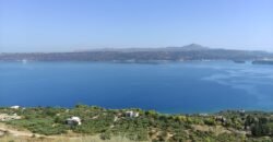 Πωλείται αγροτεμάχιο με ανεμπόδιστη θέα σε βουνό και θάλασσα.